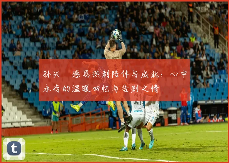 孙兴慜感恩热刺陪伴与成就，心中永存的温暖回忆与告别之情