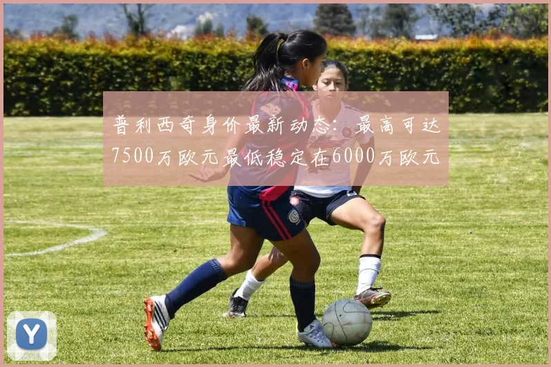 普利西奇身价最新动态：最高可达7500万欧元最低稳定在6000万欧元