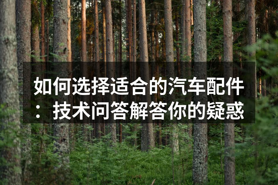 高质量汽车配件，确保行驶安全